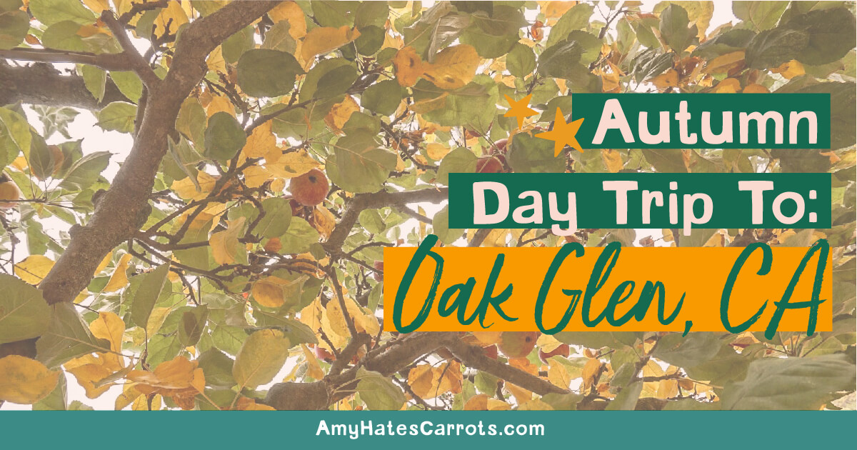 Autumn Day Trip To Oak Glen, California Amy Hates Carrots