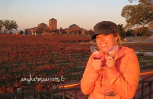 There's a magical place where California wine country meets the gorgeous Pacific. Here's a guide to visiting Cambria - you just NEED to go!