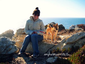 Ready to experience where lush forest meets California's rocky cliffs of the Pacific? Big Sur is a 90-mile stretch of gorgeous coastline between Carmel to the north and Cambria to the south...and you gotta go!