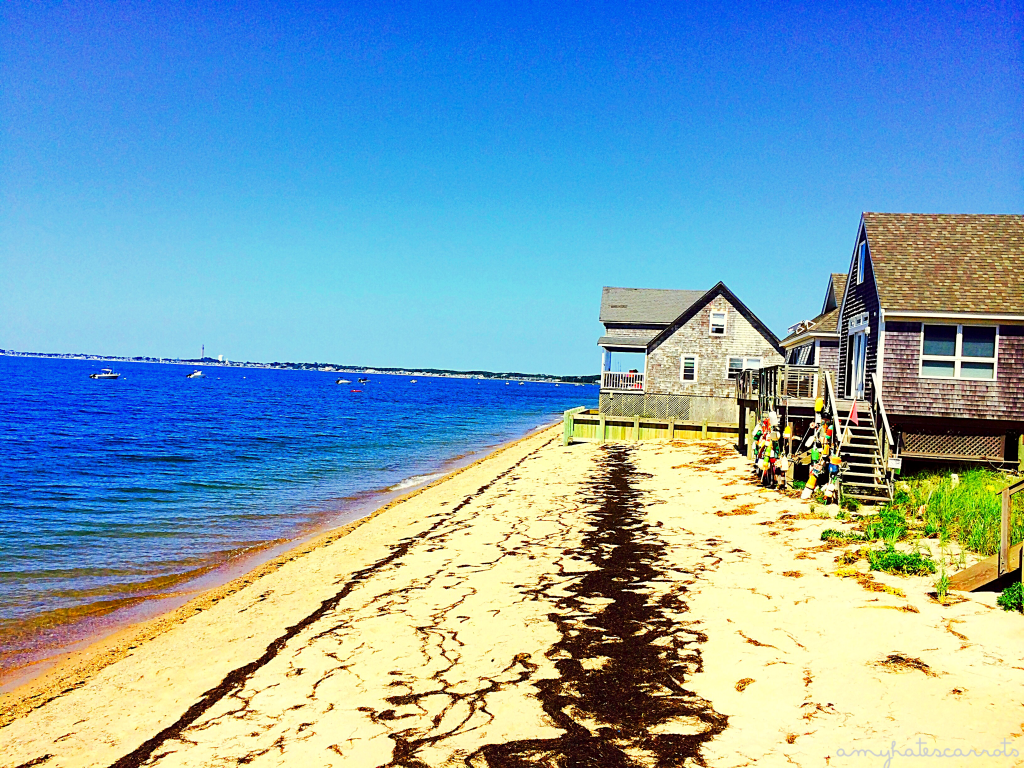 Road Trippin' Thru Provincetown, Massachusetts | My top 5 gratitudes after returning home from a solo 48 State road trip.