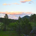 Let me show you why exploring Colorado's Rocky Mountain National Park is one of my absolute favorite things to do!