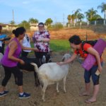 What the heck is goat yoga?! I had no idea, but I love yoga and I love animals - soooo, why not?! Here are all the details, I hope you will give it a try!