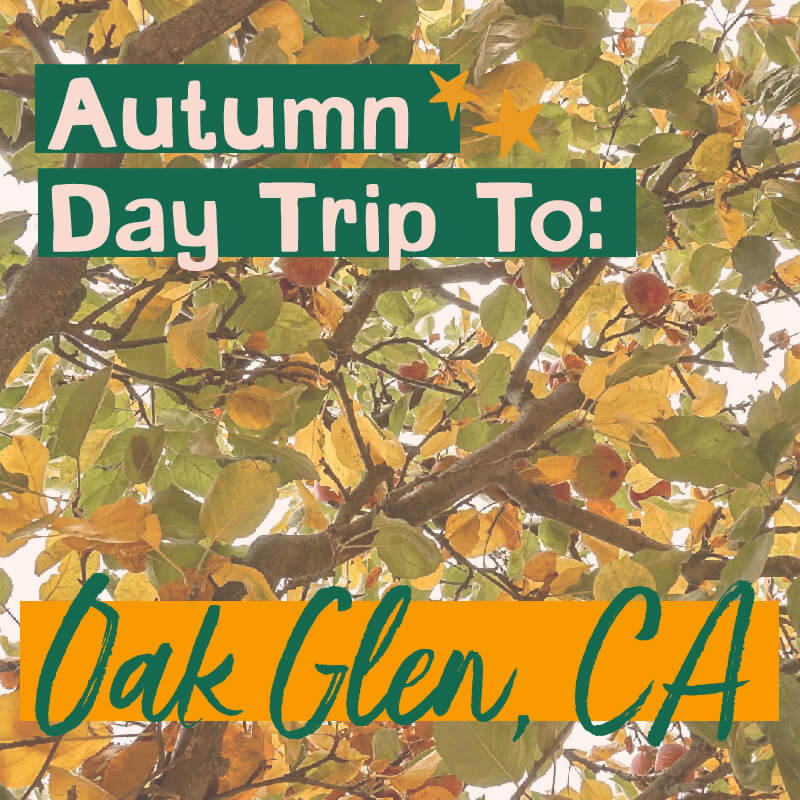 Located just 90 minutes from Los Angeles, Oak Glen is an adorable town where you'll find apple picking orchards, beautiful New England scenery and lots of lil' shops + diners to get ALL the apple goodies your tastebuds need! Here's why an Autumn day trip to Oak Glen, California is a GREAT idea!